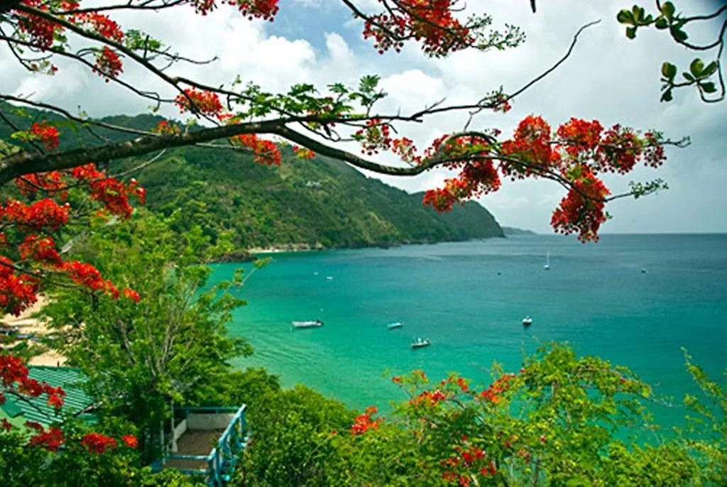 Blue Mango Cottages Castara 0*,  Trinidad och Tobago